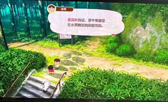 蜡笔小新煤炭镇的小白紫苏叶位置介绍