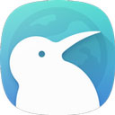 kiwi浏览器安卓开发版