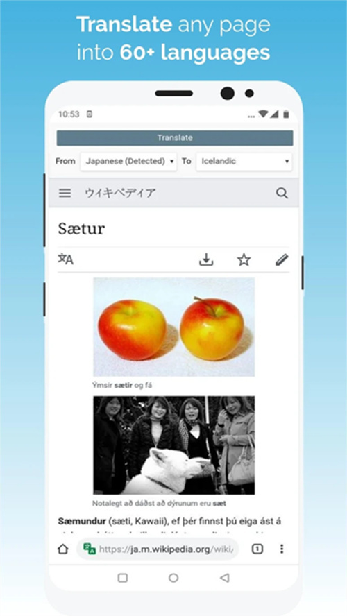 kiwi浏览器安卓开发版截图2