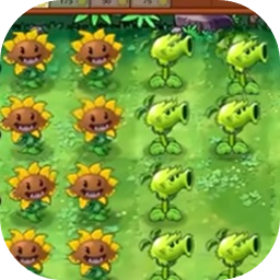 植物大战僵尸荒野版