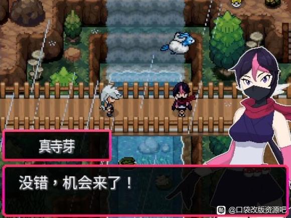 宝可梦不灭之绊截图5
