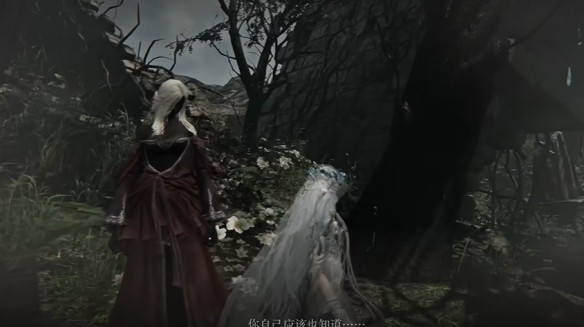 艾尔登法环黑夜君临攻略大全 全角色支线任务流程攻略[多图]图片80