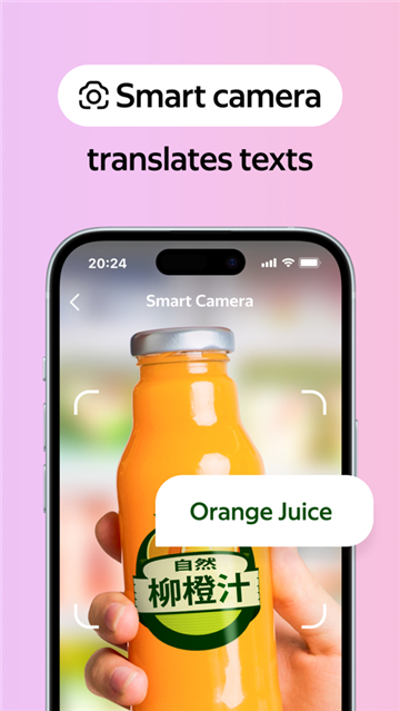 俄罗斯引擎Yandex截图3