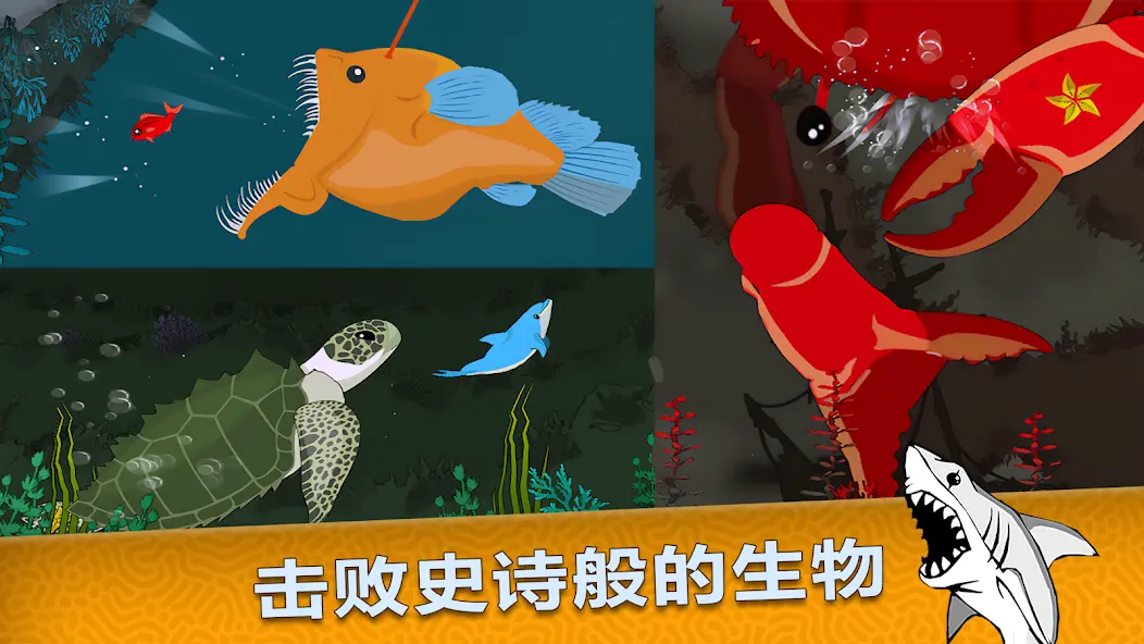皇家鱼截图4