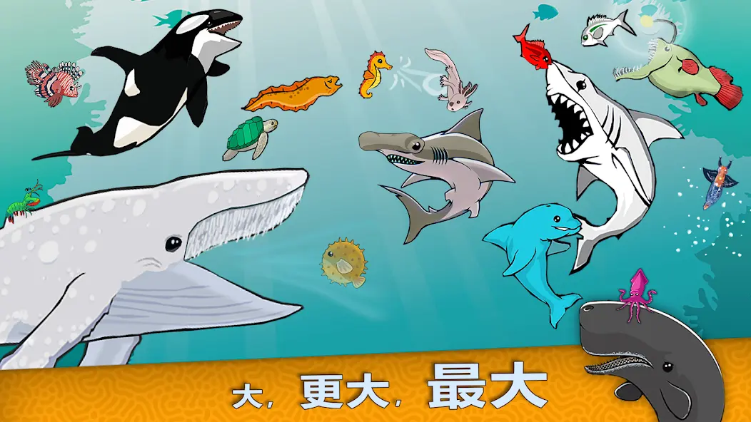 皇家鱼截图2
