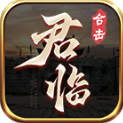 君临合击