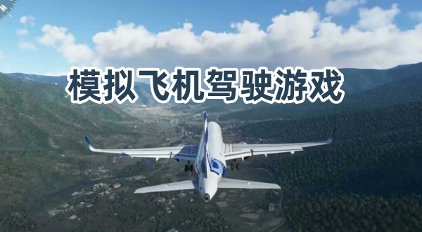 模拟飞机驾驶游戏