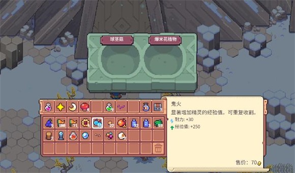 月光石岛