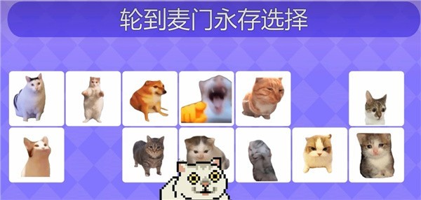 女巫的毒药猫meme版