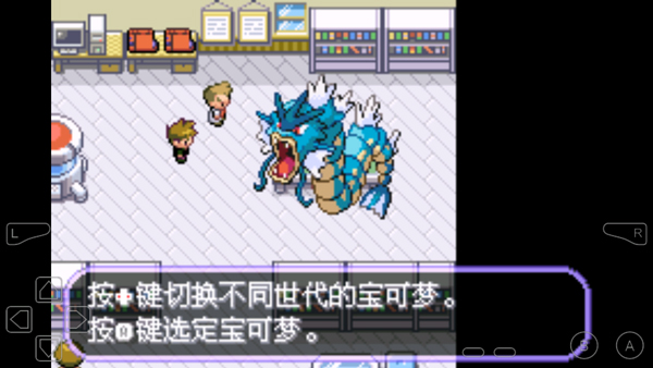 口袋妖怪不归之殇暗作弊版截图3