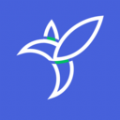 半夏元app官方版