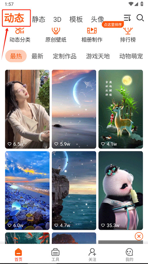 壁纸精灵最新版