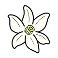 橙花模拟器