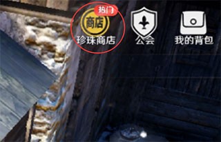 黑色沙漠手游