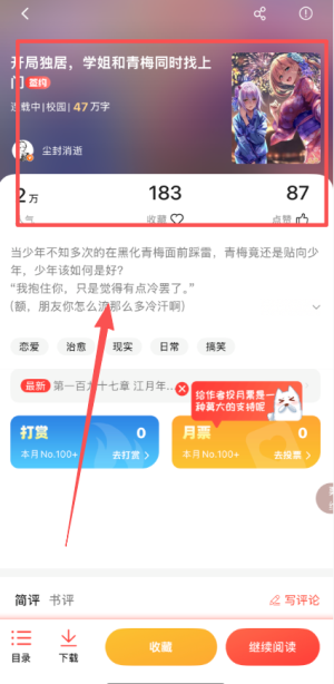 菠萝包轻小说
