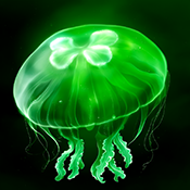绿水母eggjelly